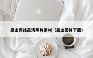 青岛昆虫网站高清照片素材（昆虫图片下载）